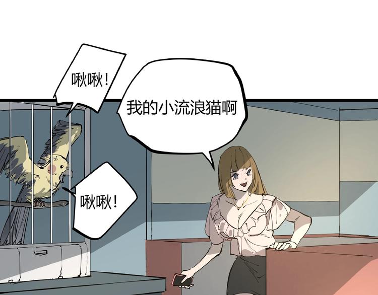 第1话 黑猫之疑13