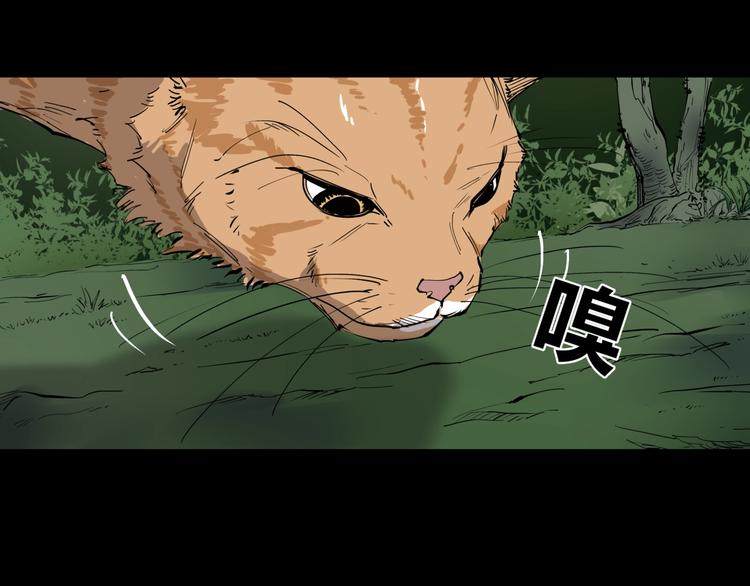 第10话 猫群之舞51