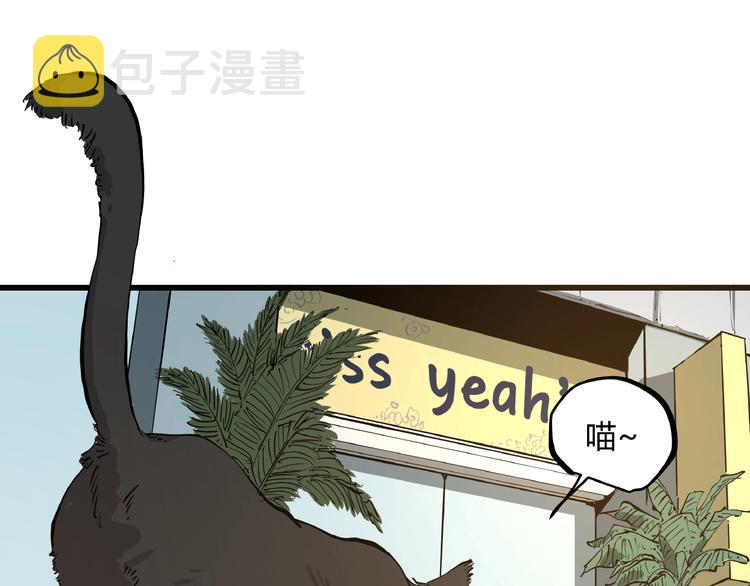第1话 黑猫之疑6
