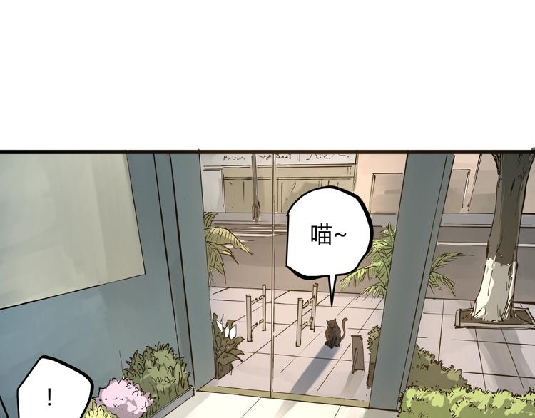 第1话 黑猫之疑8