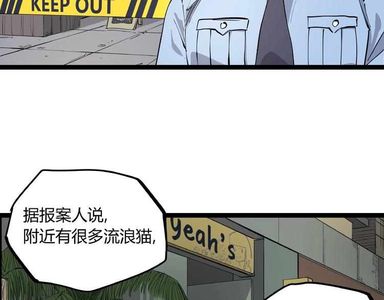 第1话 黑猫之疑94