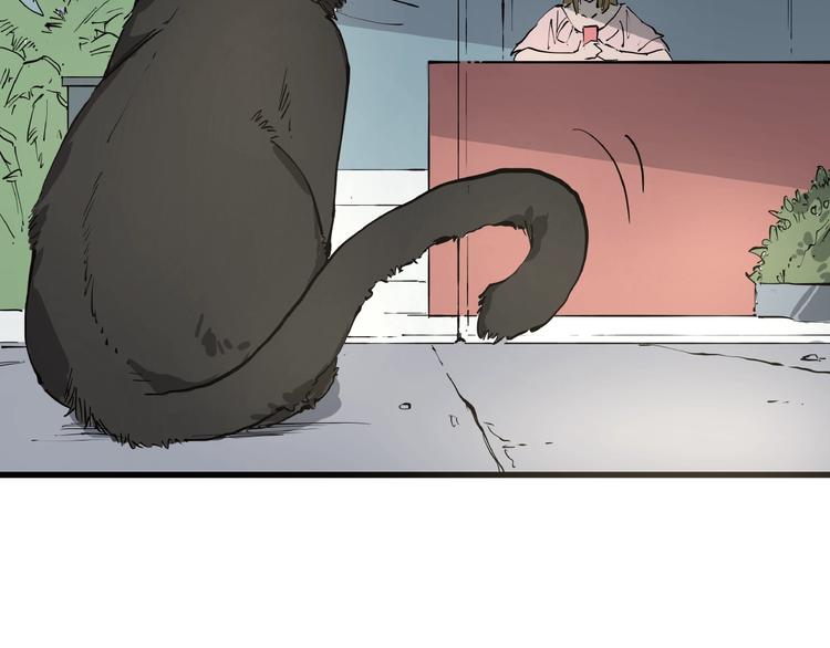 第1话 黑猫之疑11