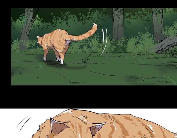 第10话 猫群之舞52