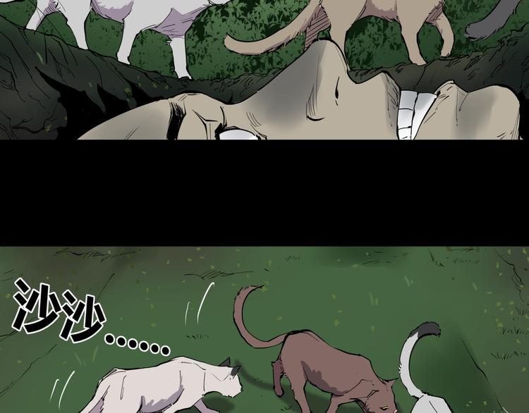 第10话 猫群之舞61