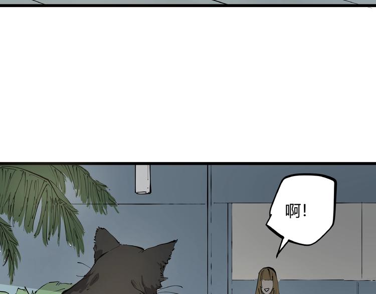 第1话 黑猫之疑10