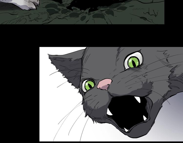 第10话 猫群之舞57