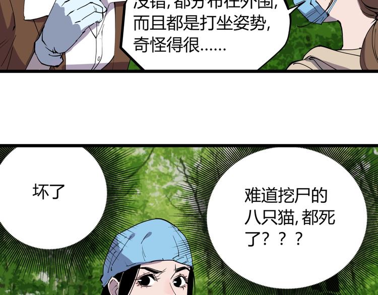 第10话 猫群之舞76