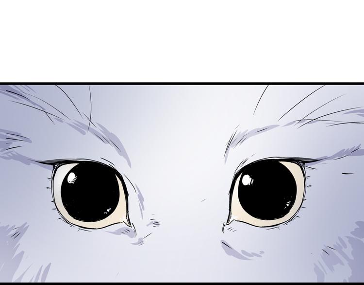 第31话 又见凶猫58