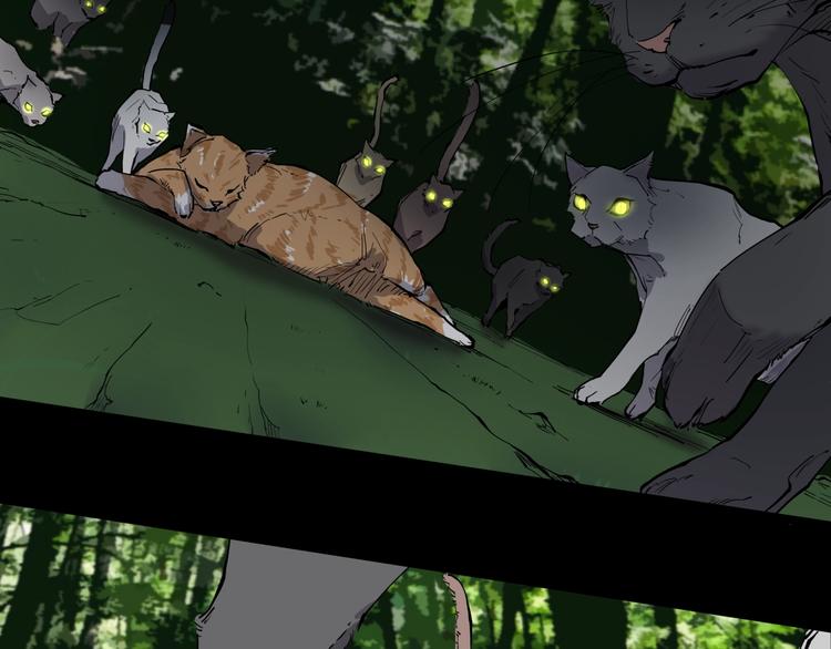 第10话 猫群之舞54
