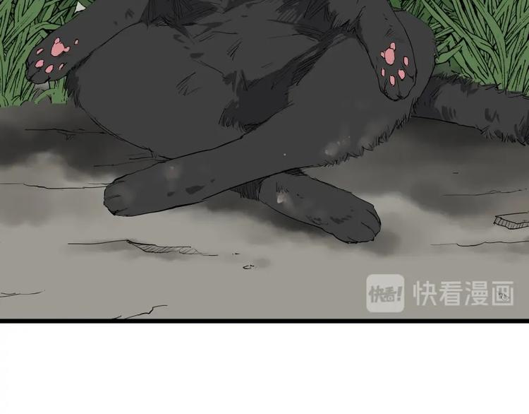 第5话 猫尸之谜95