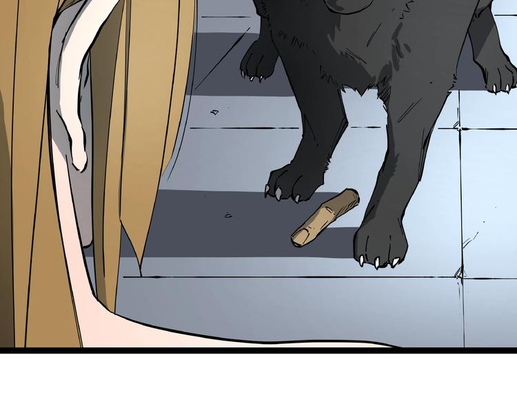 第1话 黑猫之疑40