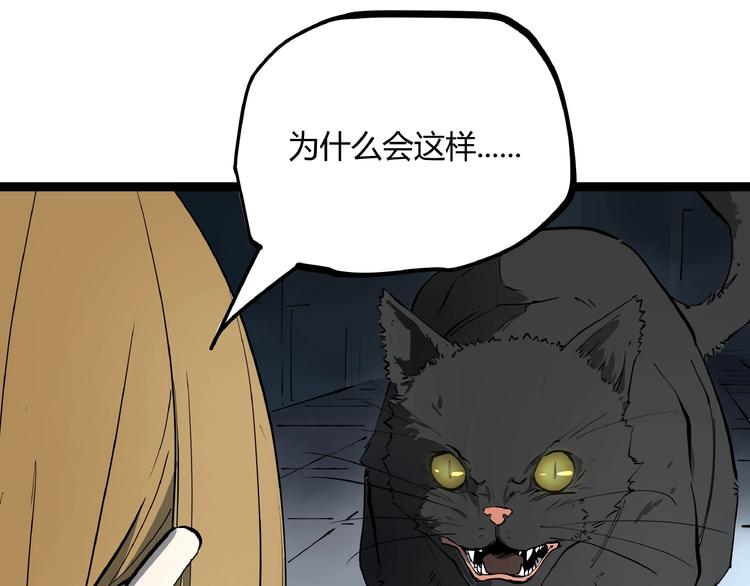 第1话 黑猫之疑39