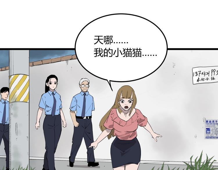 第5话 猫尸之谜12