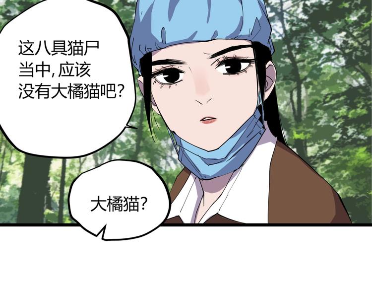 第11话 天作之合10