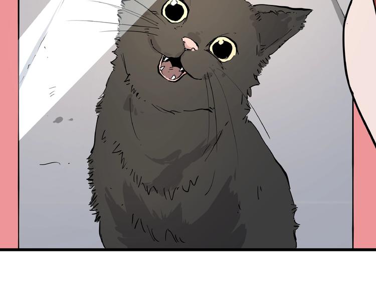 第1话 黑猫之疑19