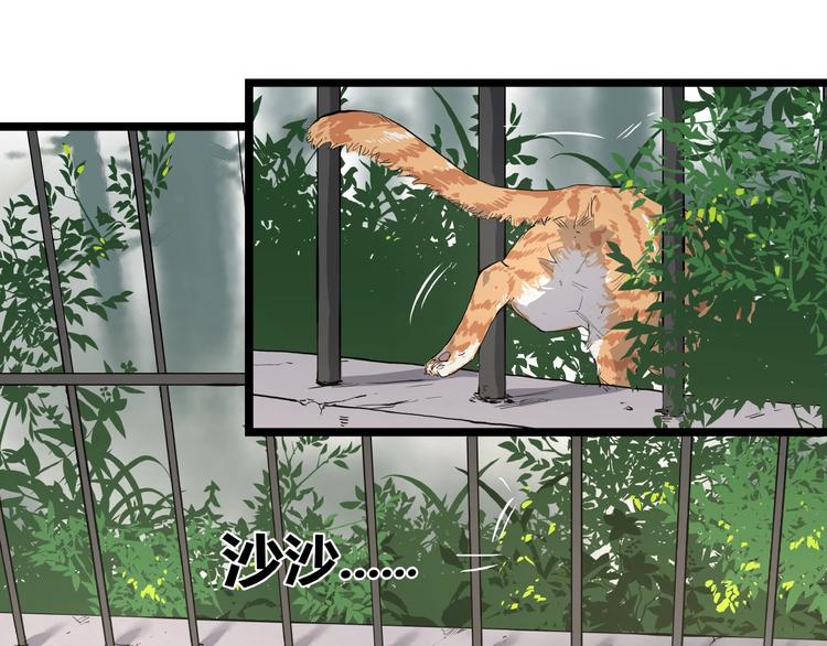 第3话 无声之生6