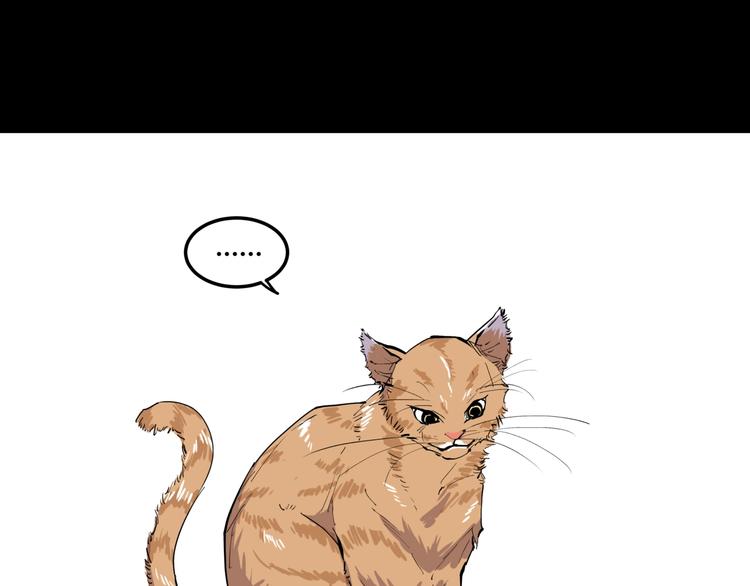 第10话 猫群之舞63
