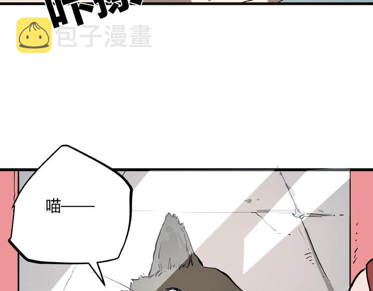 第1话 黑猫之疑18