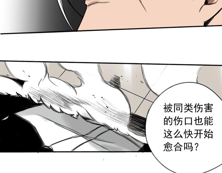 第10话 摊牌13