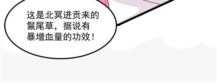 第30话 实力宠粉不用谢我5