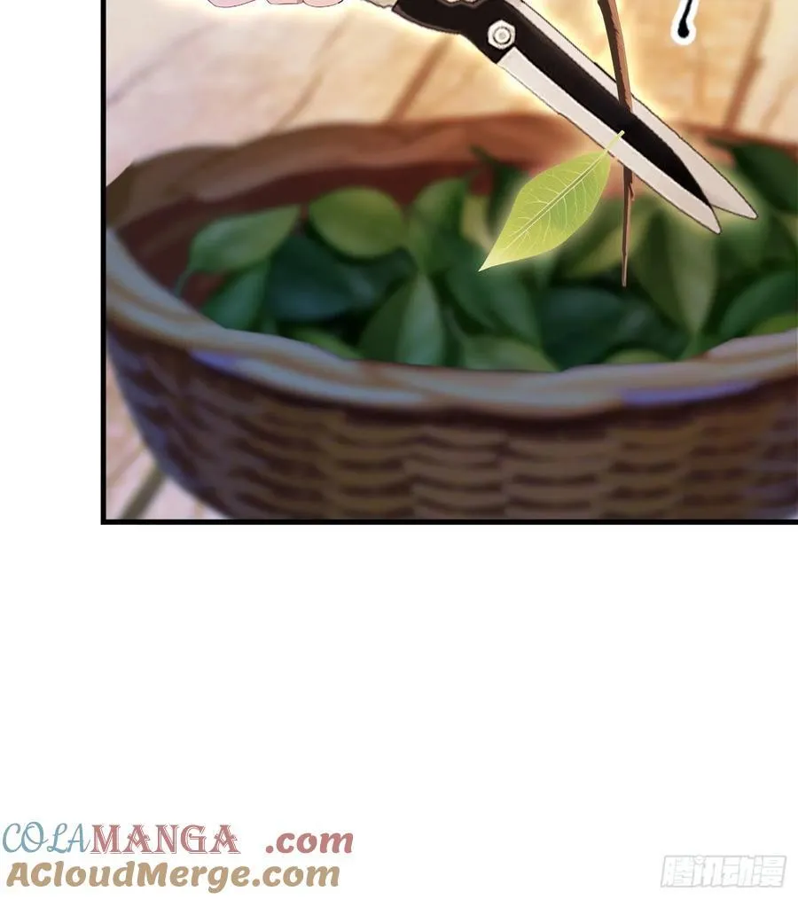 第94话 我还打不过一棵树？6