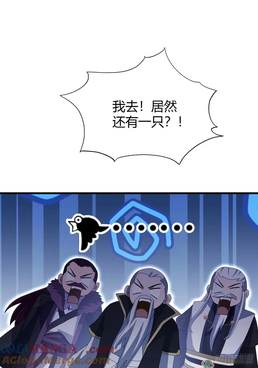 第113话 叶师祖院里居然有！9