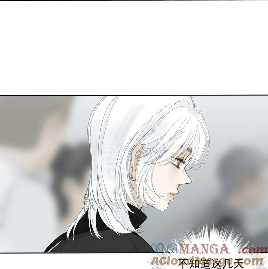 014 溅涌的红百合2