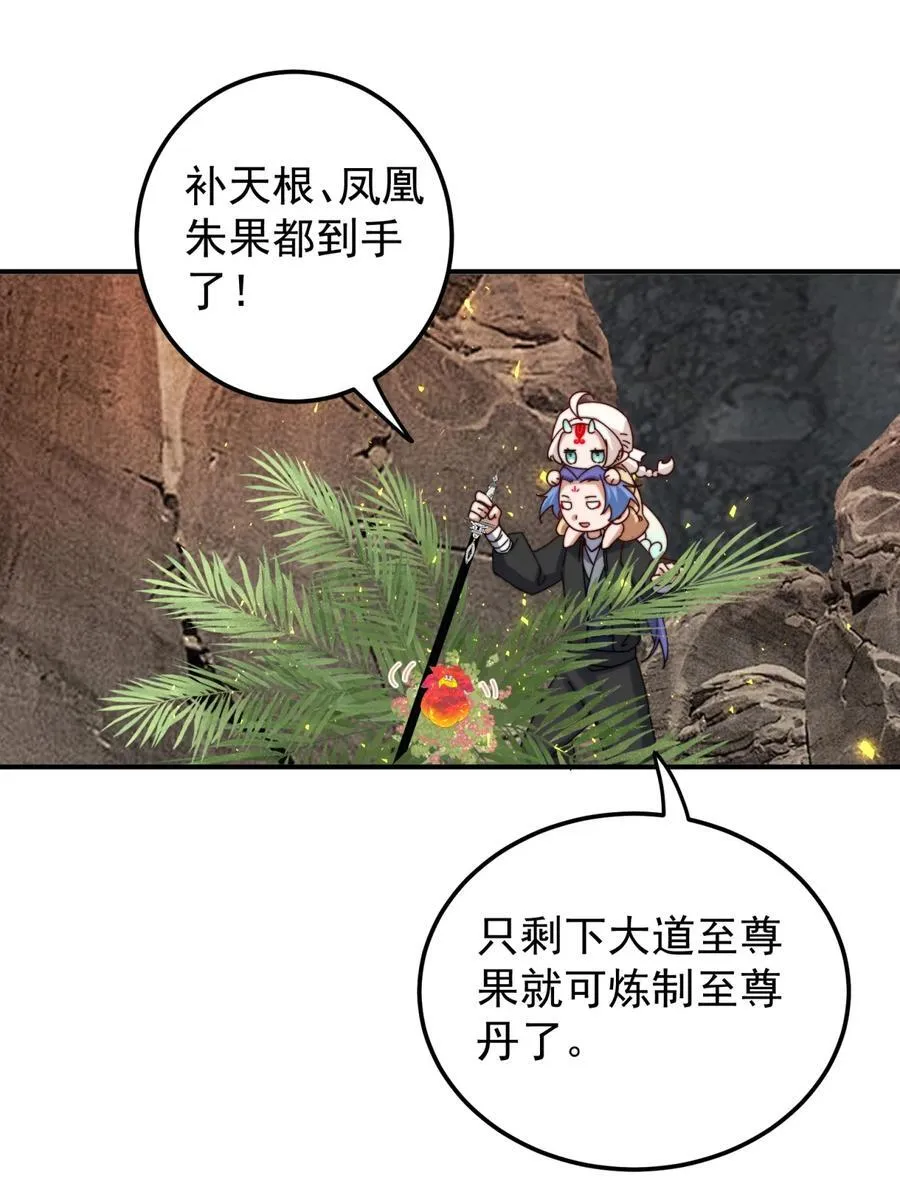 109 凤凰朱果21