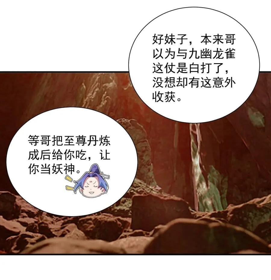 109 凤凰朱果17