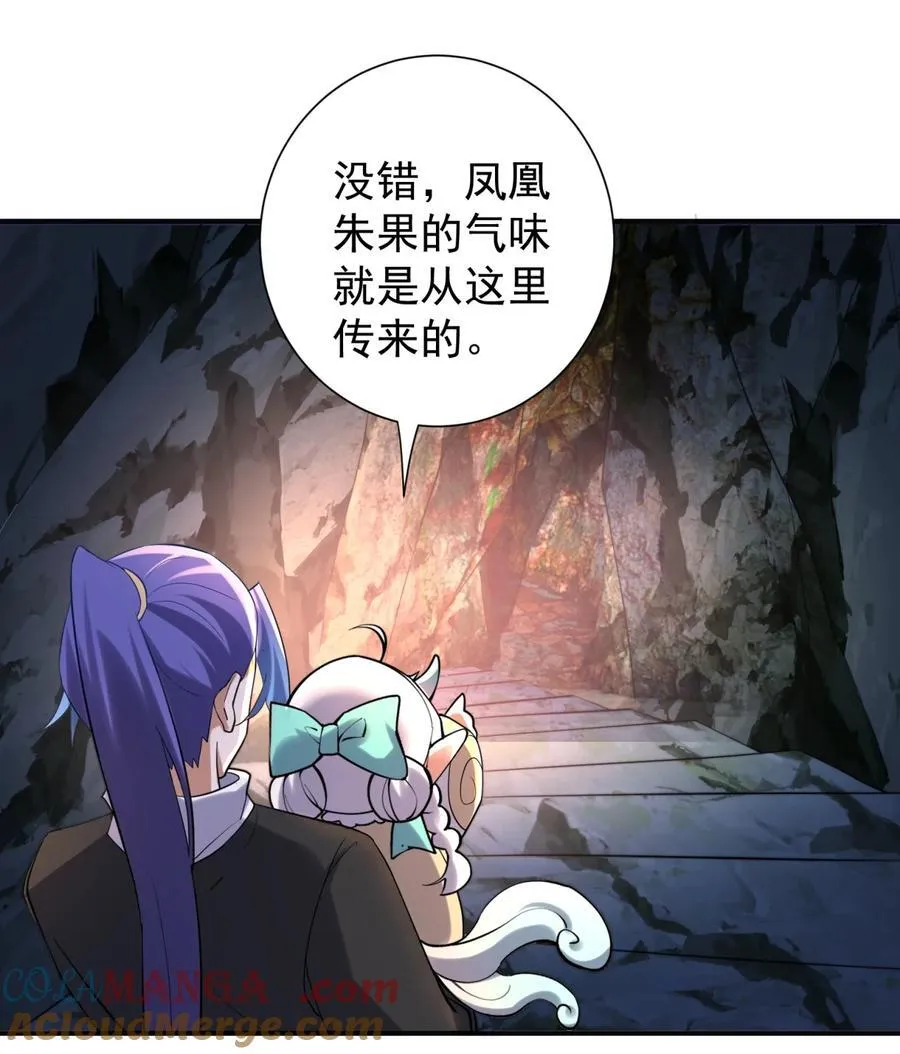 109 凤凰朱果16