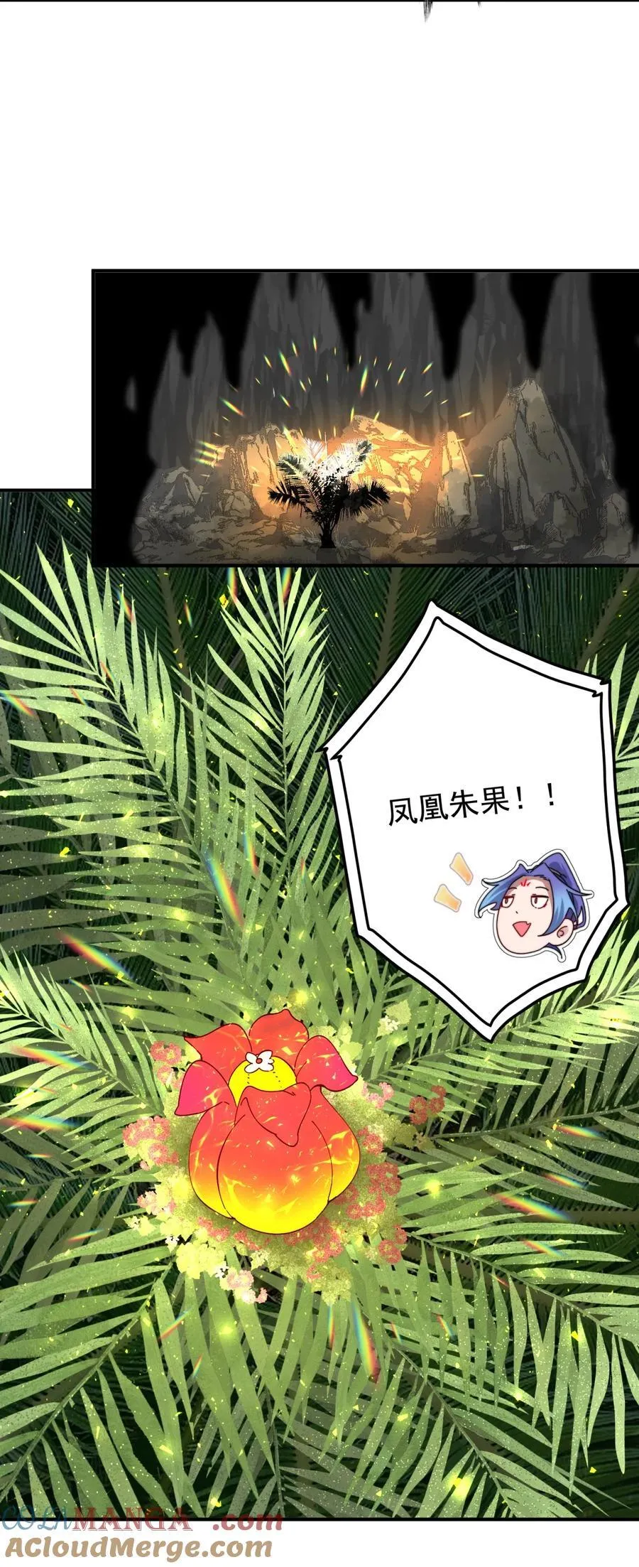109 凤凰朱果20