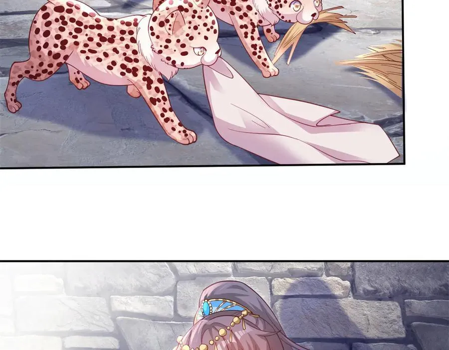 6035