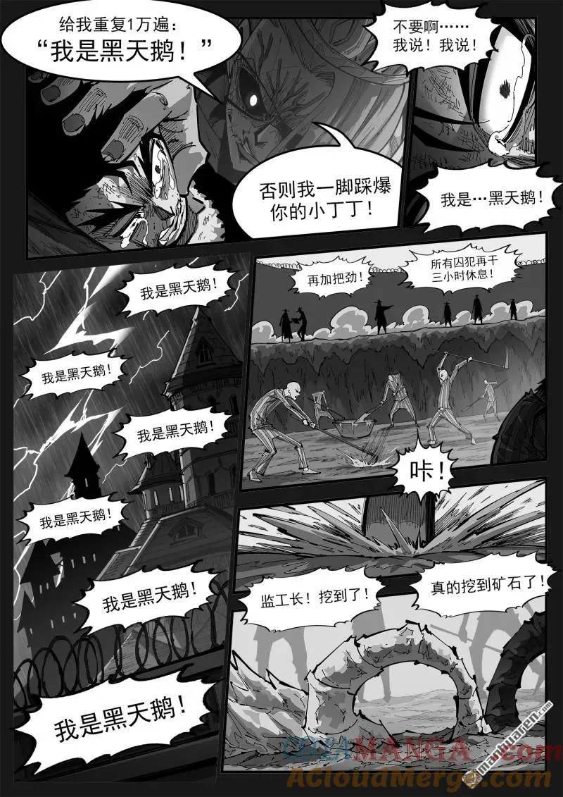 第398回 我是黑天鹅！5