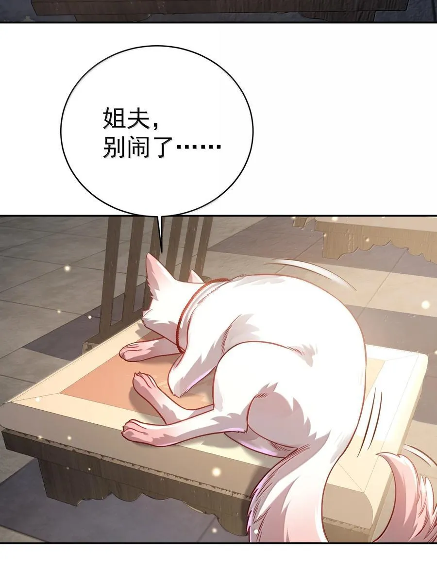 051 谁与狗不得入内？7