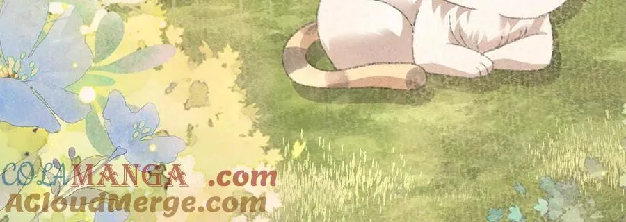 38 狮子先生野猫小姐12