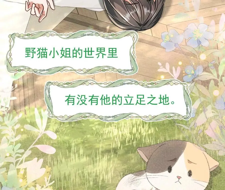 38 狮子先生野猫小姐11