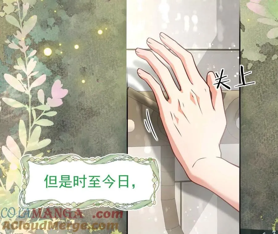 38 狮子先生野猫小姐8