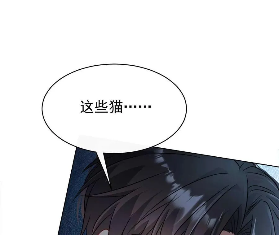39 失踪99