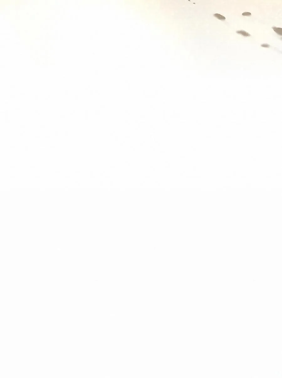 48 死亡不是归宿37