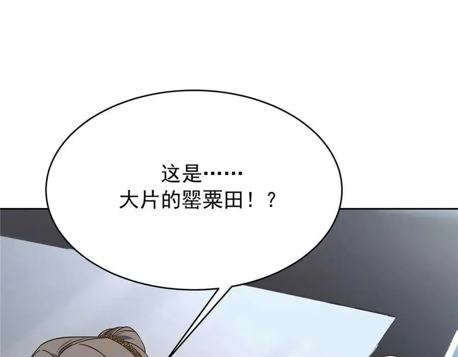481 试探15