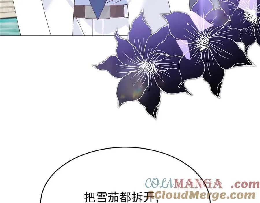 481 试探88