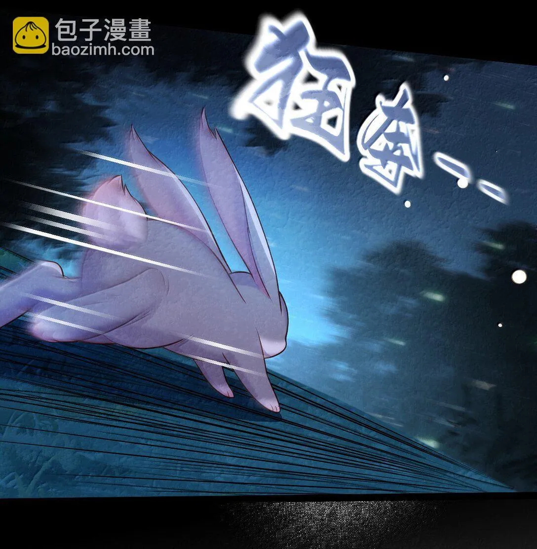 028 兔兔赛跑12