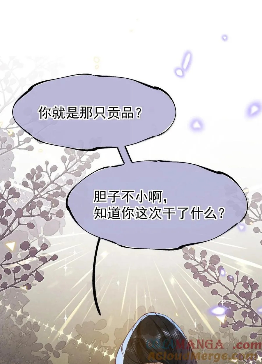 026 蛇唱兔随42