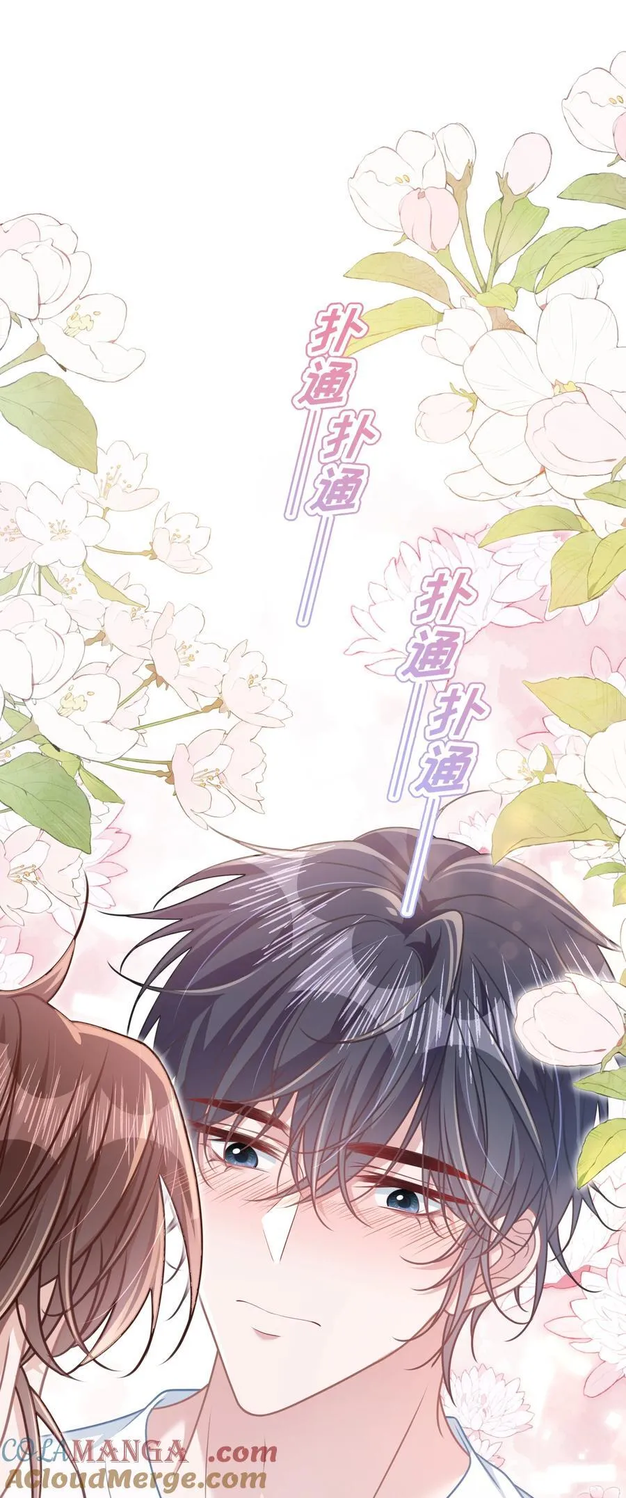 026 你也喜欢白晗？2