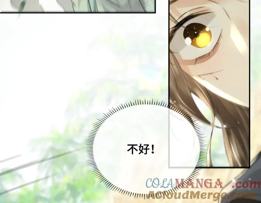 番外 飞天猫（7）68