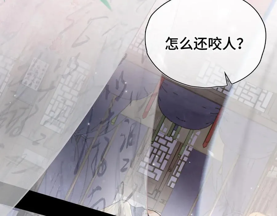 番外 飞天猫（6）5