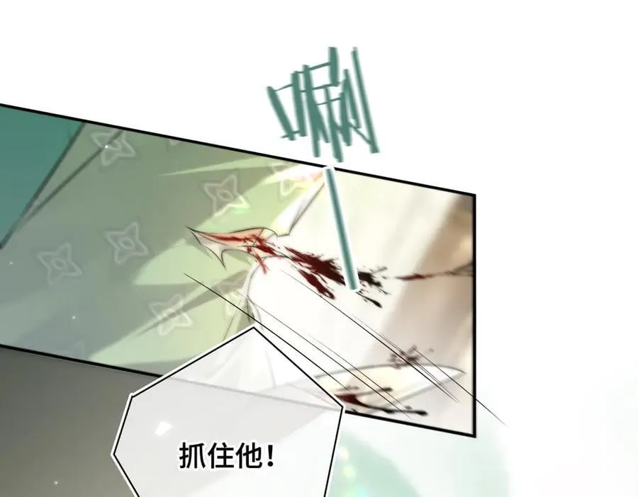 番外 飞天猫（7）62