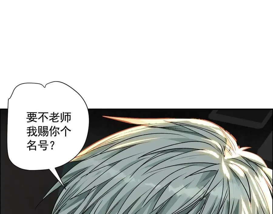 黑马出动37