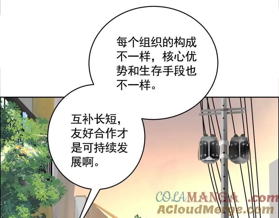 黑马出动116