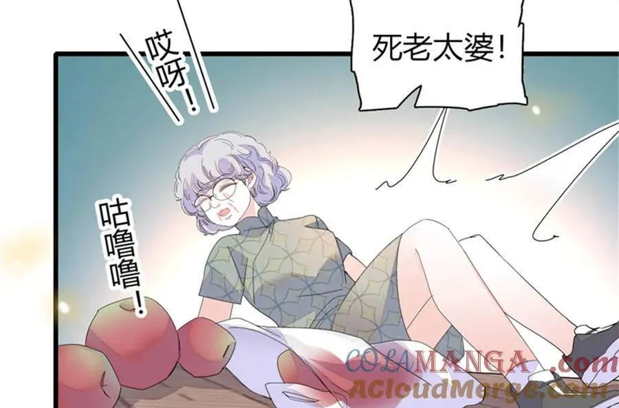 111 茶里茶气的104